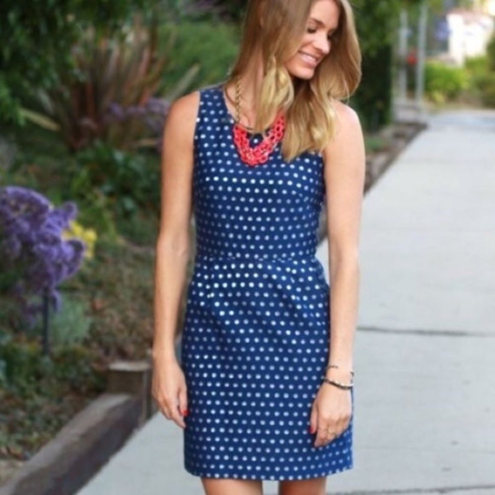 J.Crew Factory Blue and Silver Polka Dot Dress Size 6